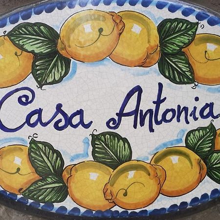 아나카프리 Casa Antonia 아파트 외부 사진